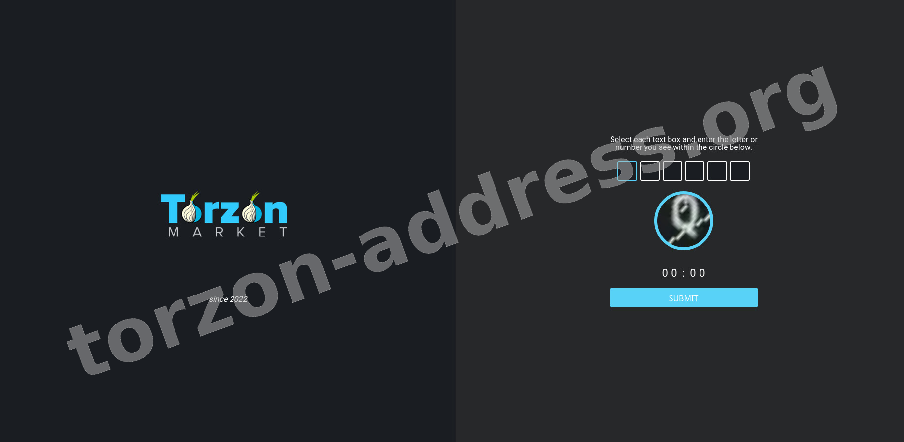 DDoS Protection Screen