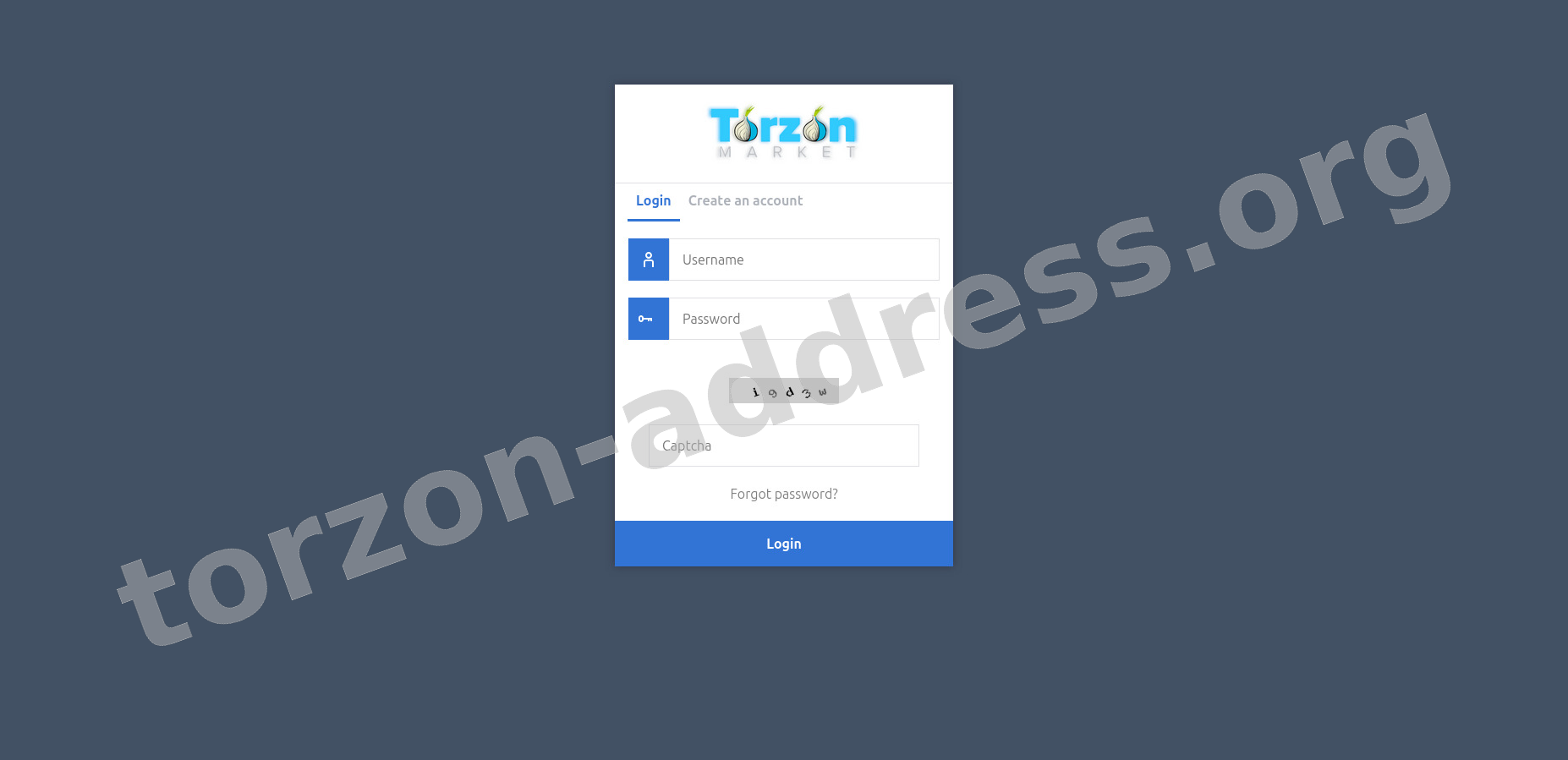 User Login Interface